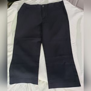 Banana Republic Vintage Black Martin Fit Stretch Cropped Ankle Pants - EUC